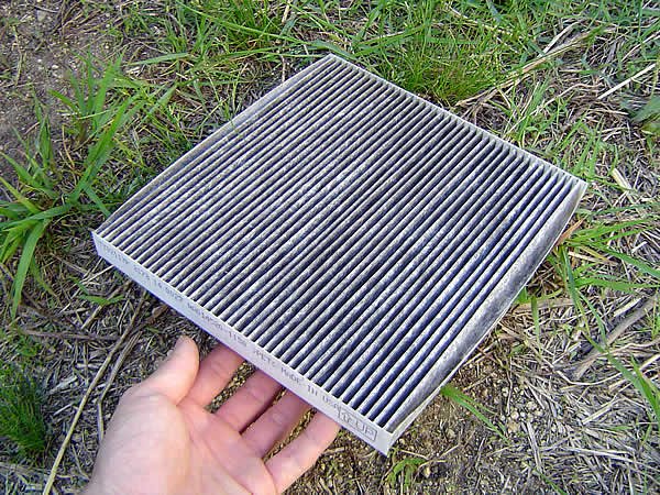 IMG_000010.jpg ( 116 KB )