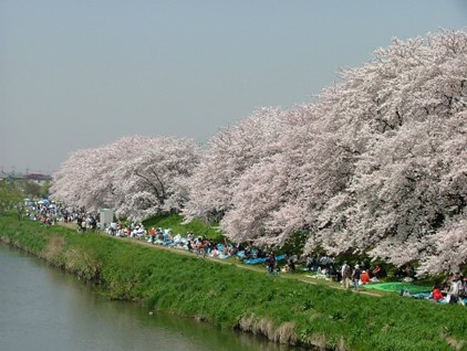 IMG_000033.jpg ( 40 KB )