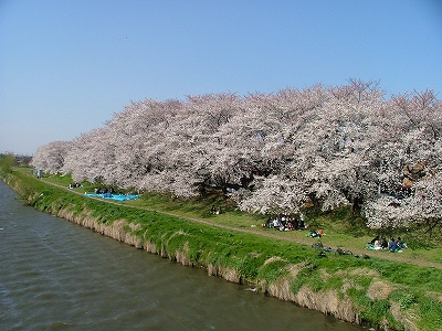 IMG_000052.jpg ( 96 KB )