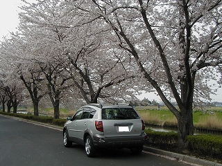 IMG_000053.jpg ( 93 KB )