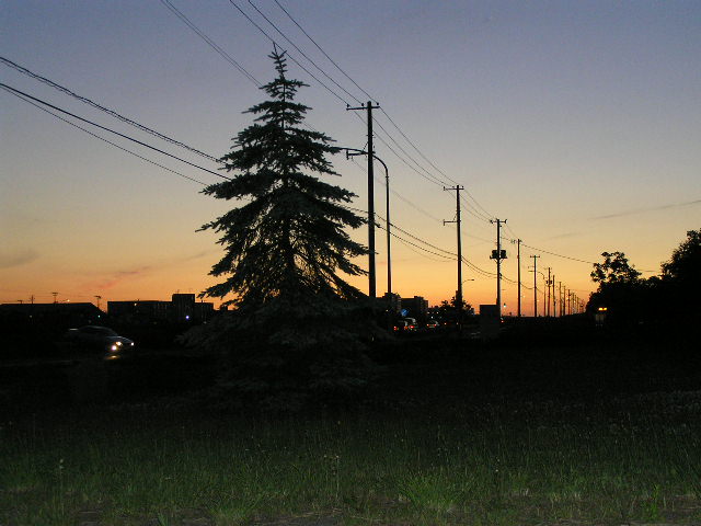 サイクリングのついでに・・・・ (HOT GEAR) サイクリングのついでに・・・・ (HOT GEAR)