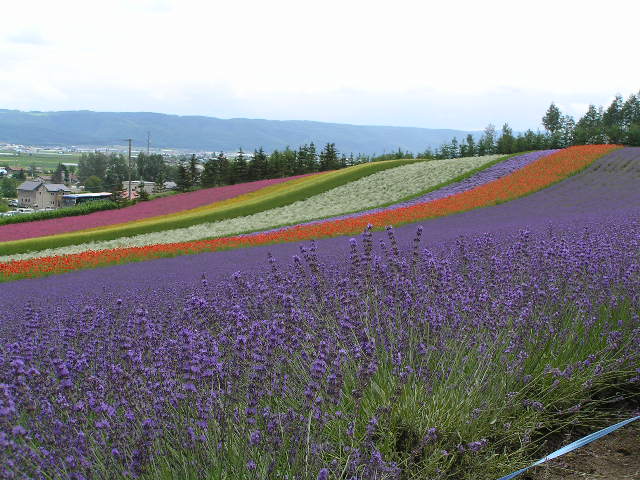 IMG_000067.jpg ( 80 KB )