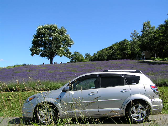 IMG_000068.jpg ( 78 KB )