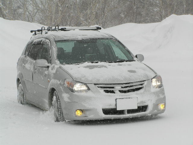 IMG_000081.jpg ( 65 KB )