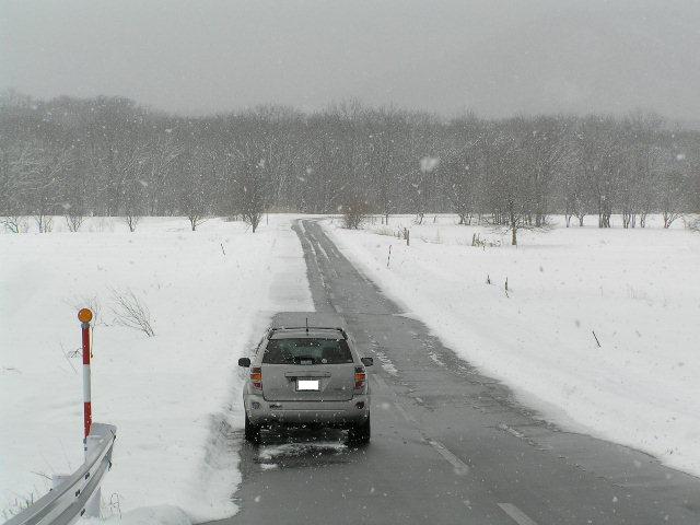 IMG_000086.jpg ( 48 KB )