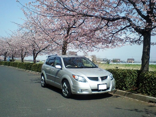 IMG_000108.jpg ( 97 KB )