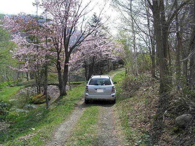 IMG_000110.jpg ( 123 KB )