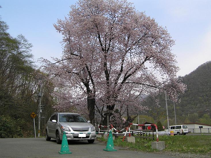 IMG_000111.jpg ( 128 KB )