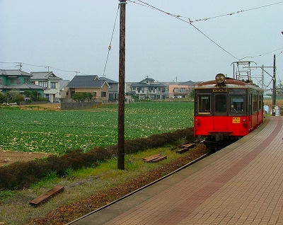 IMG_000119.jpg ( 97 KB )