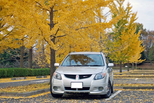 IMG_000131.jpg ( 98 KB )