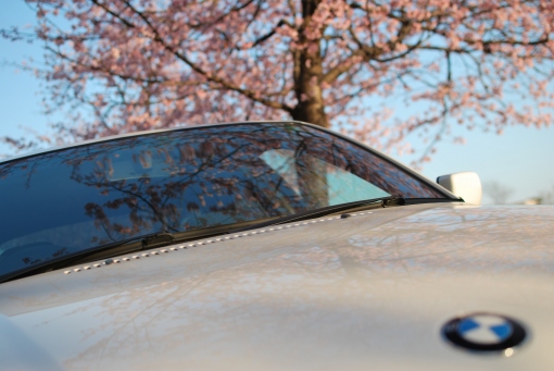 IMG_000137.jpg ( 97 KB )